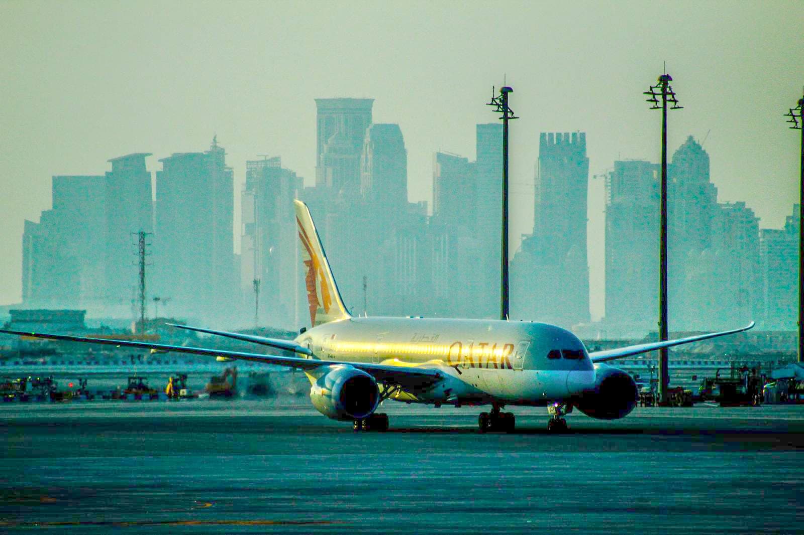 Professional Aviation Services